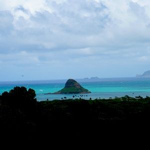 Meet your Posher, Isabel